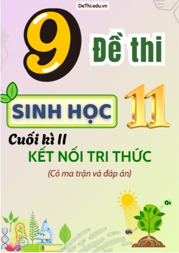 10 Đề thi Sinh Học 11 cuối học kì 2 có Ma trận & Đáp án (Kết nối tri thức)
